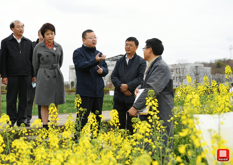 2021年2月26日，元方調(diào)研科技創(chuàng)新工作7  張莉 攝.jpg