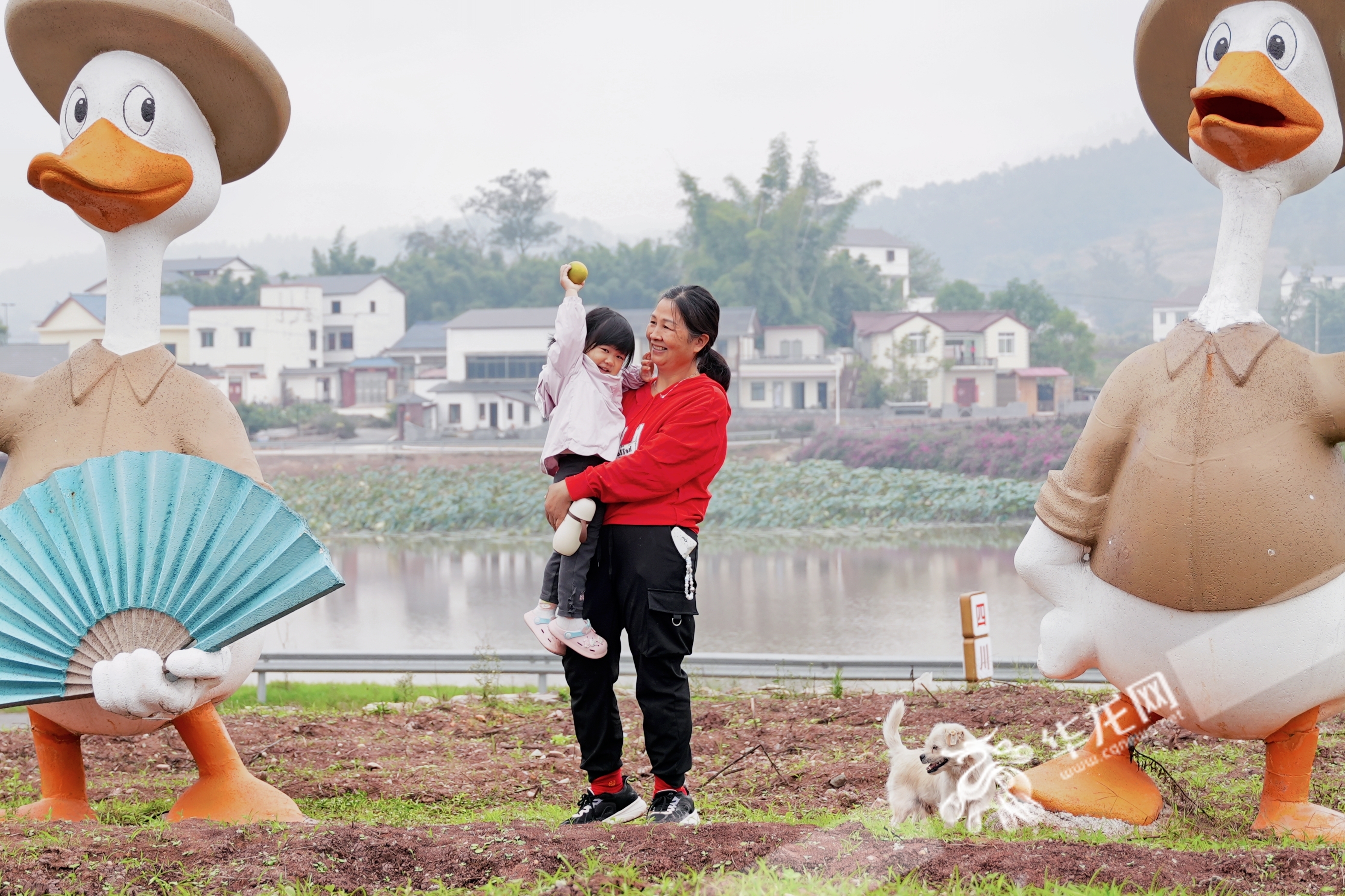 榮昌與隆昌攜手共建的成渝現(xiàn)代高效特色農(nóng)業(yè)帶“雙昌”合作示范園區(qū)。華龍網(wǎng) 辛飛 攝